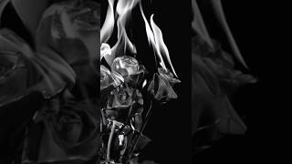 LOVE - The Sweet Kill from the album DARKNESS #darkwave #music #gothic #postpunkmusic #gothrock