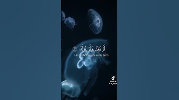 سورة الإخلاص محمد علي العجمي #quran #اكسبلور #قرآن #دويتو #عجمي