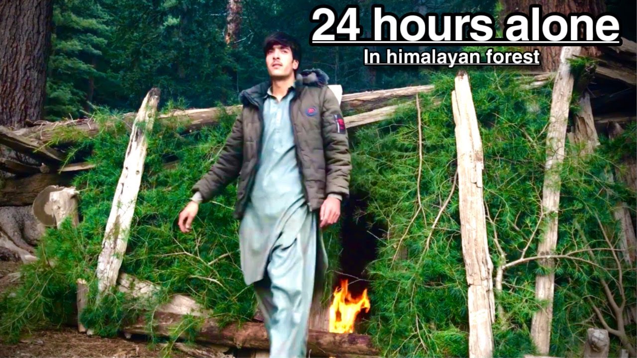 24 hours alone in Himalayan forest camping building survival shelter ...