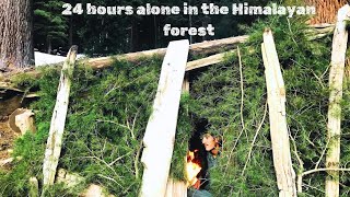 24 hours alone in Himalayan forest camping building survival shelter.bushcraft|| N4 Nihal adventure