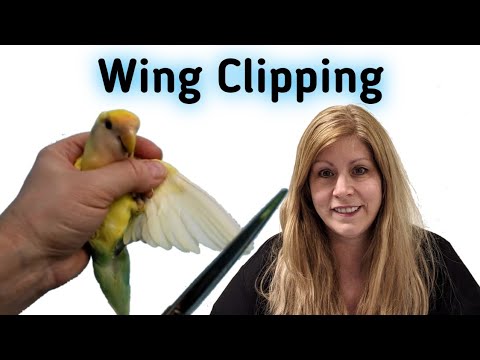 How to clip