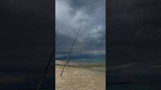 Как же класно на природе #жиза #природа #отдых #рыбалка #рыба #рыбак #море #италия #мужжена