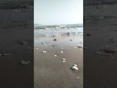 البحر مع ام كلثوم