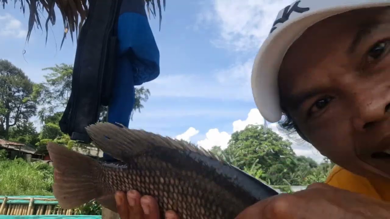 GAGAL FOKUS SAMA TETANGGA SAMPE GA ENAK NARIK NYA!!! PMC UNDUY RAWAKALONG!!!