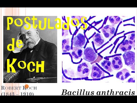 Postulados de Koch - Biomed Channel