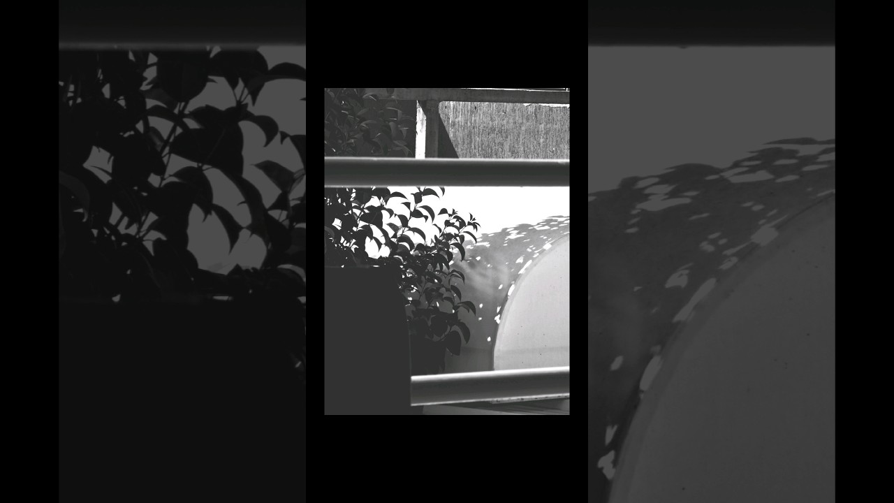 AMAZING effect for your Creative Photos 