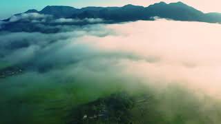 Vita Alvia Terbaru 2021  Full Album  Dangdut Remix Terbaru 2021 Full Bass   Dj Remix Terbaru