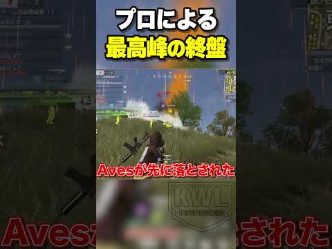 プロチームの最高峰の決戦【荒野行動】#shorts