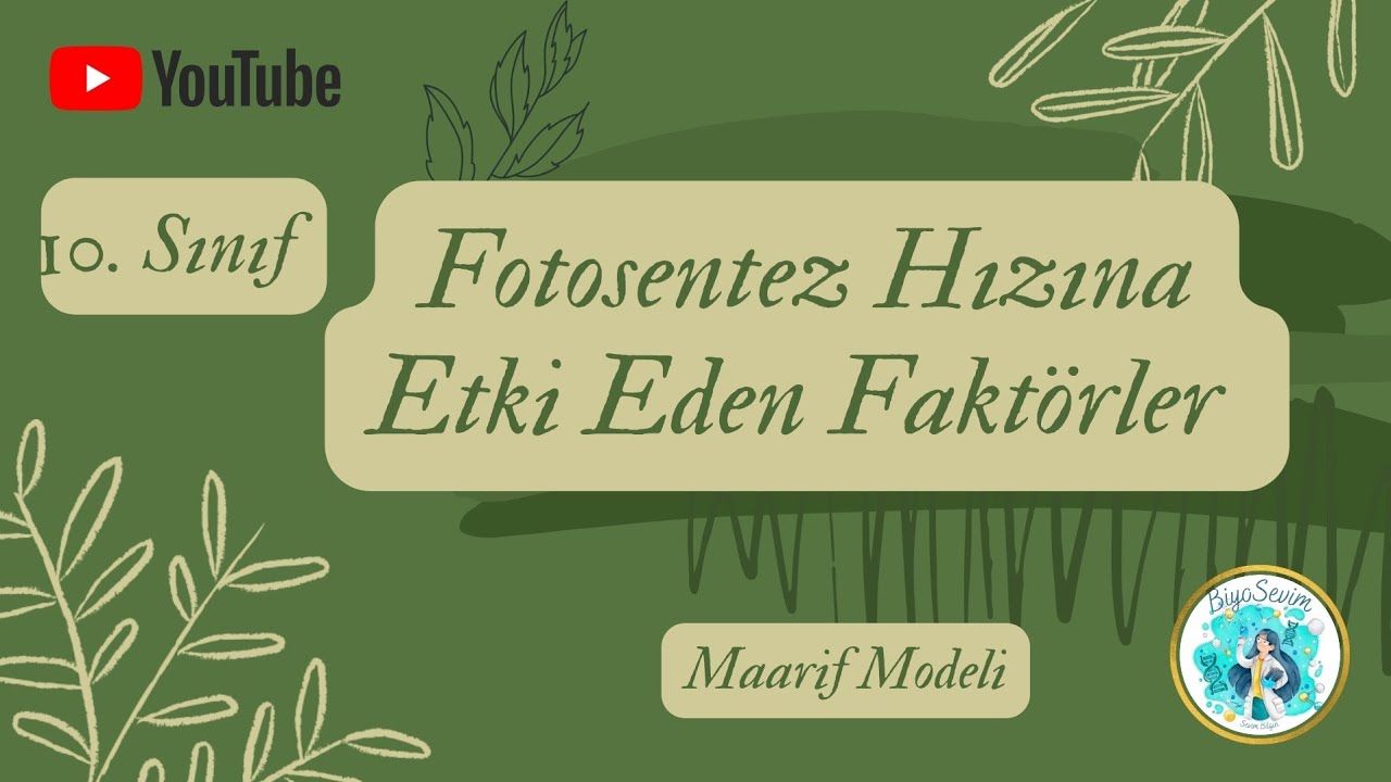 4) 10.SINIF BİYOLOJİ - FOTOSENTEZ HIZINA ETKİ EDEN FAKTÖRLER 