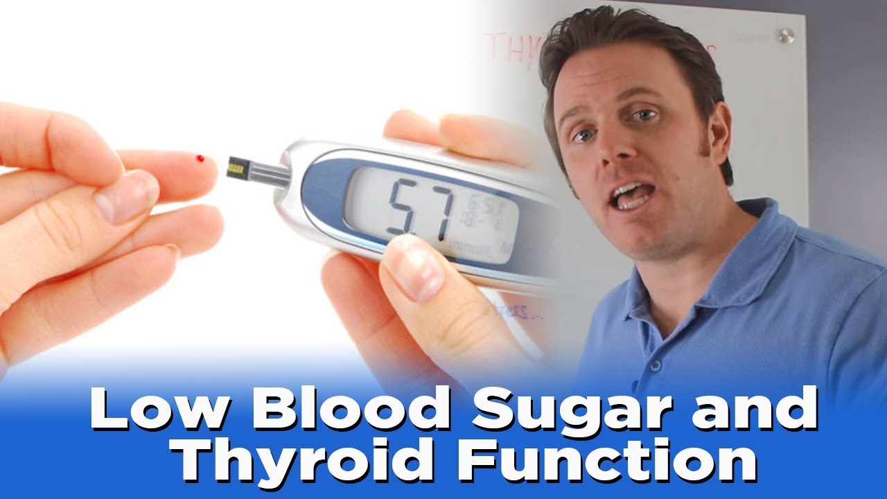 Low Blood Sugar And Thyroid Function YouTube low-blood-sugar-and-thyroid-function-youtube