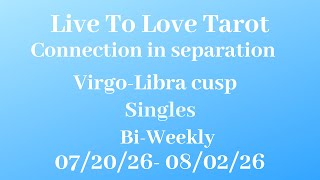 Virgo-Libra cusp love reads You were everything to them
