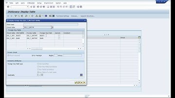 SAP ABAP tutorial. Example of creation maintenance objects and transaction for database tables.