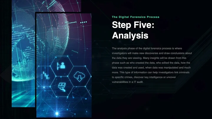 The Digital Forensics Process