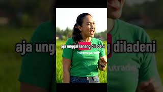 Pantun Lucu Khas Indramayu tarling indramayu kangdedimulyadi cirebon unjungan majalengka