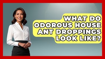 What Do Odorous House Ant Droppings Look Like? - Insects and Invaders