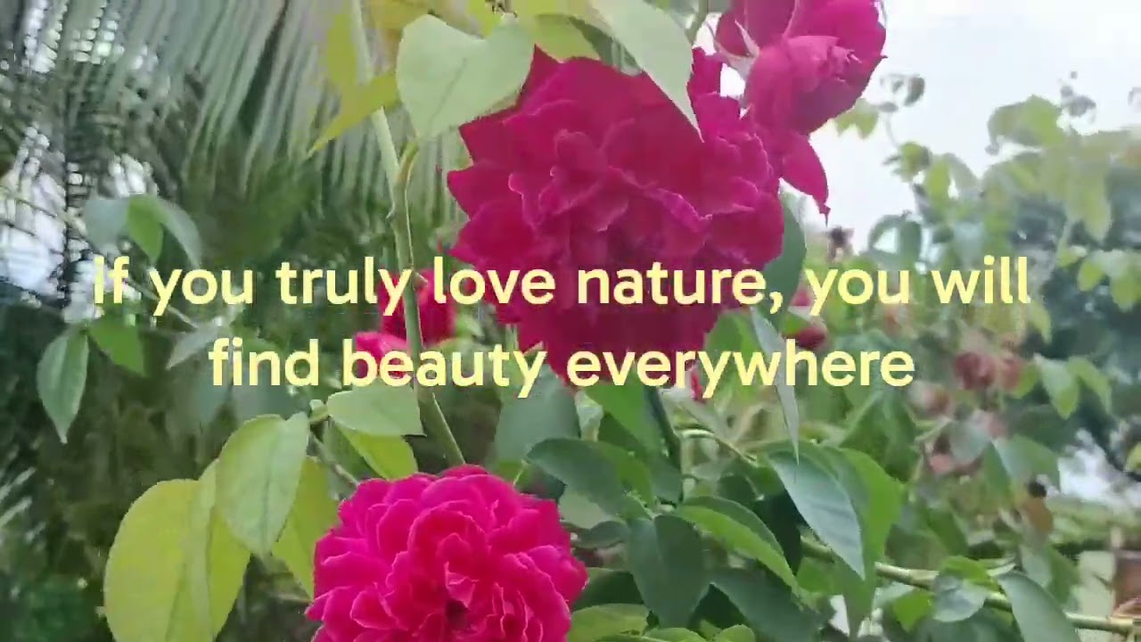 Nature never goes out of style 