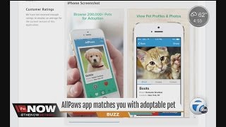AllPaws app matches you with adoptable pets screenshot 1