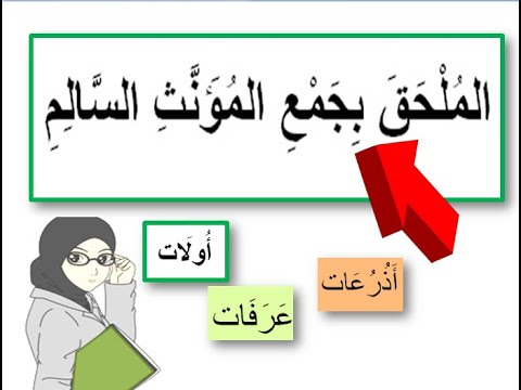 الملحق بجمع المؤنث السالم