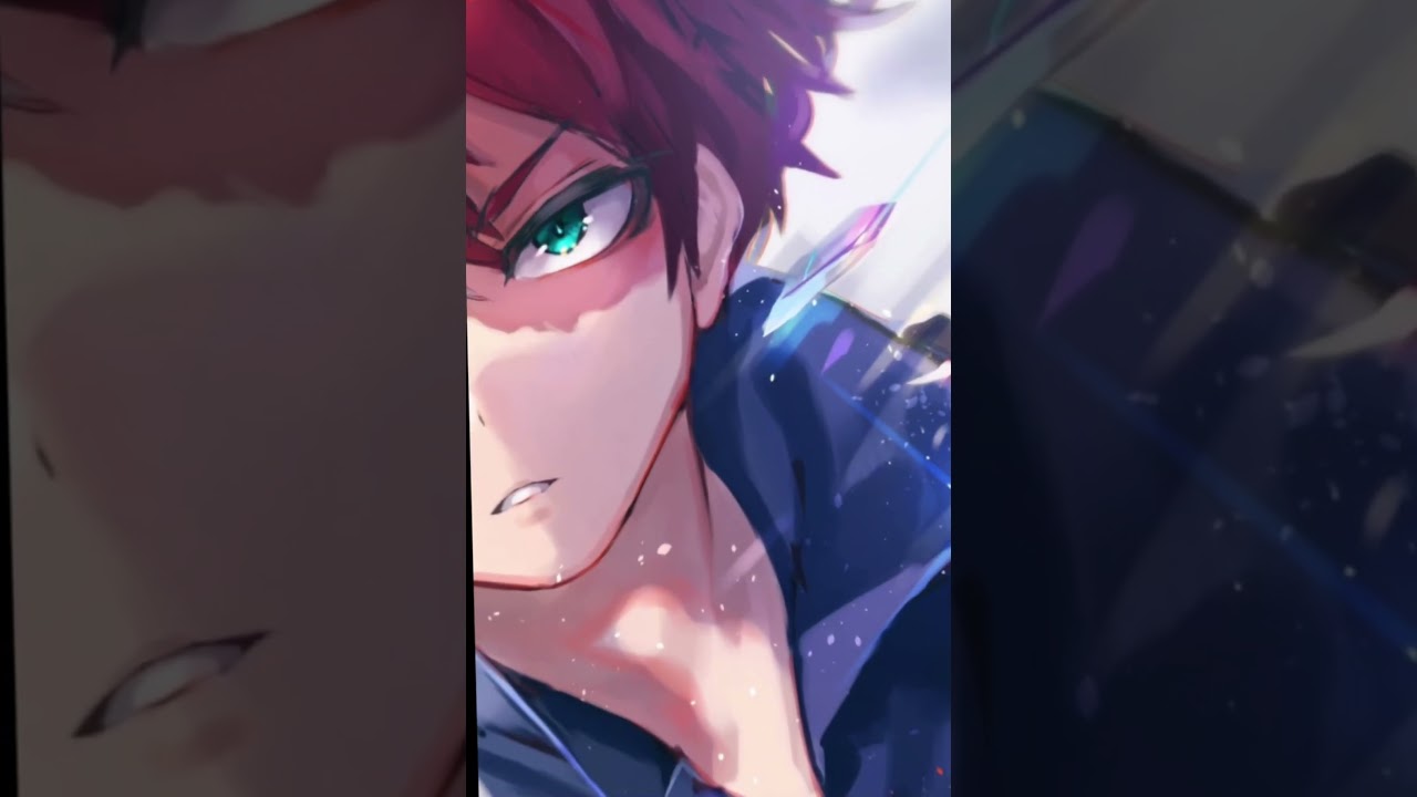 Shoto Todoroki 