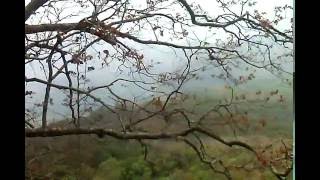 Valpara Malakapara Suicide Point Amazing View