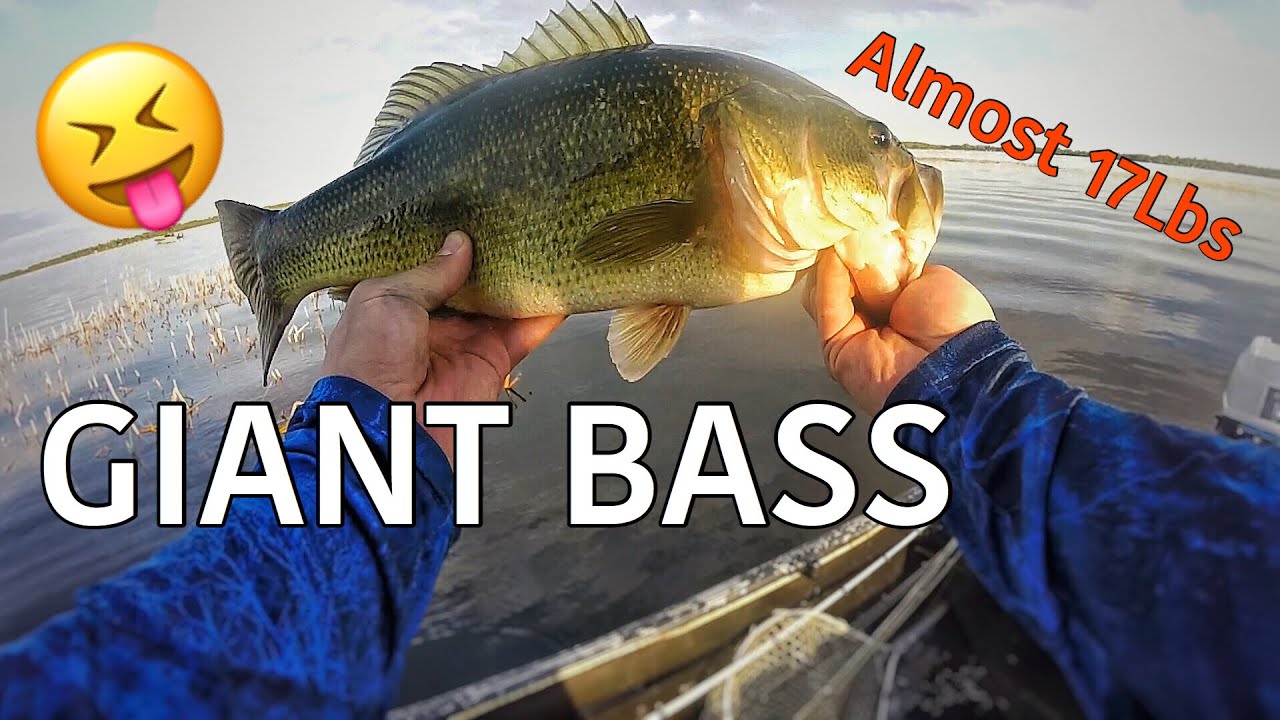 BIGGEST bag of BASS in MY LIFE!!!!