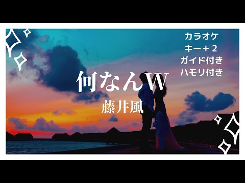 【カラオケ】何なんw/藤井風【男性キー上げ＋２】【ガイド付きハモリ付き歌詞付き】
