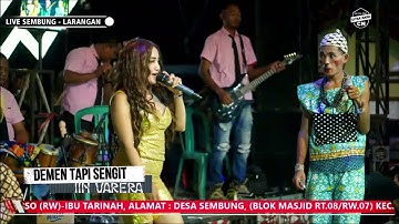 DEMEN TAPI SENGIT ~ IIN VARERA || CITRA NADA LIVE DESA SEMBUNG - LARANGAN