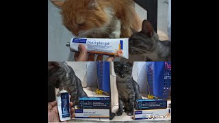 Vitamin Kucing Nutri Plus Gel Dan Icats