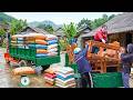 Timelapse: Buying 1,000+ Ducklings and Tons of Feed at the Traditional Countryside Market