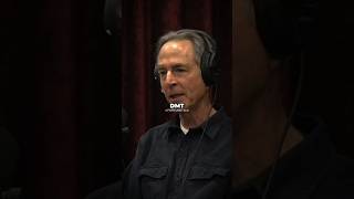 How To See The Matrix Code IRL ft. Joe Rogan