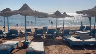 картинка: Rehana Sharm Resort & Aquapark. Египет. Дорога к морю.
