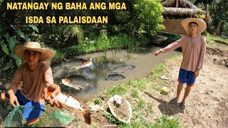 MGA NAKALABAS NA ISDA. PANGHUHULI