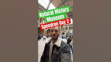 Natural History Museum Speedrun Day 2 #speedrun #gaming