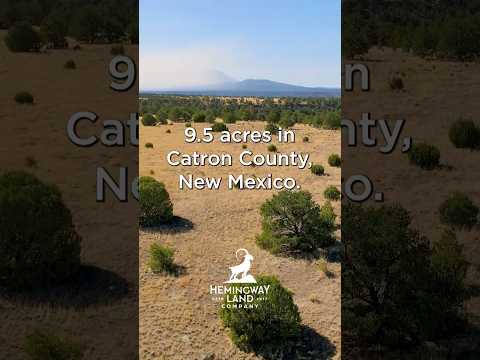 New Mexico Land