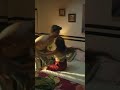 18 Hot Girls Romance Bollywood Freecopyrightmusic India Bikini 