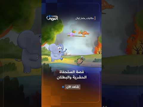 قصة السلحفاة الحشرية وسقوطها في البحر| حكايات ماما ليال