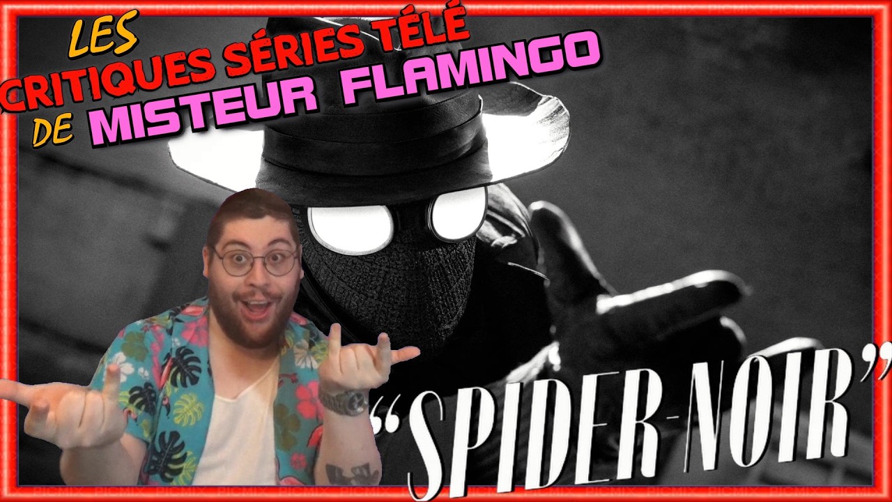 J'ai Regardé La Série SPIDER-NOIR Sur Prime Video | Misteur Flamingo
