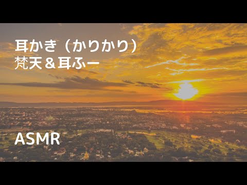 【ASMR/声なし】耳かき（カリカリ系）＋梵天でがさごそ＋耳ふー【NoTalking】