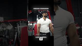 Larry Wheels Vs Singha Forearm Measurement