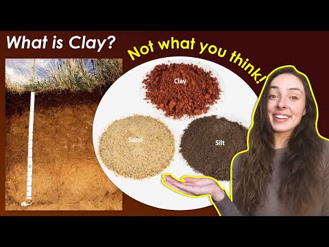 Video: Ko nozīmē clayborn?