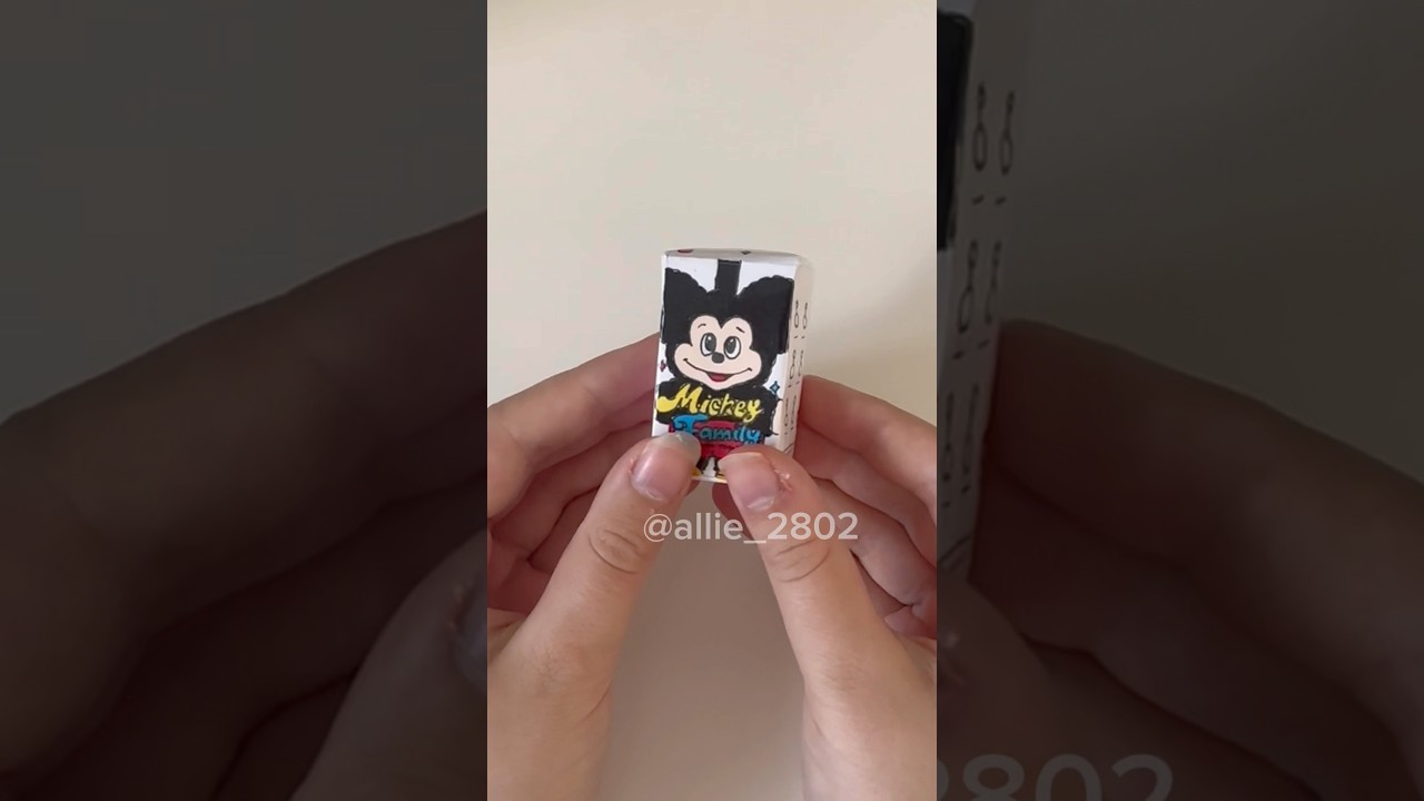 Mini Mickey Family blind box 🖤❤️ 