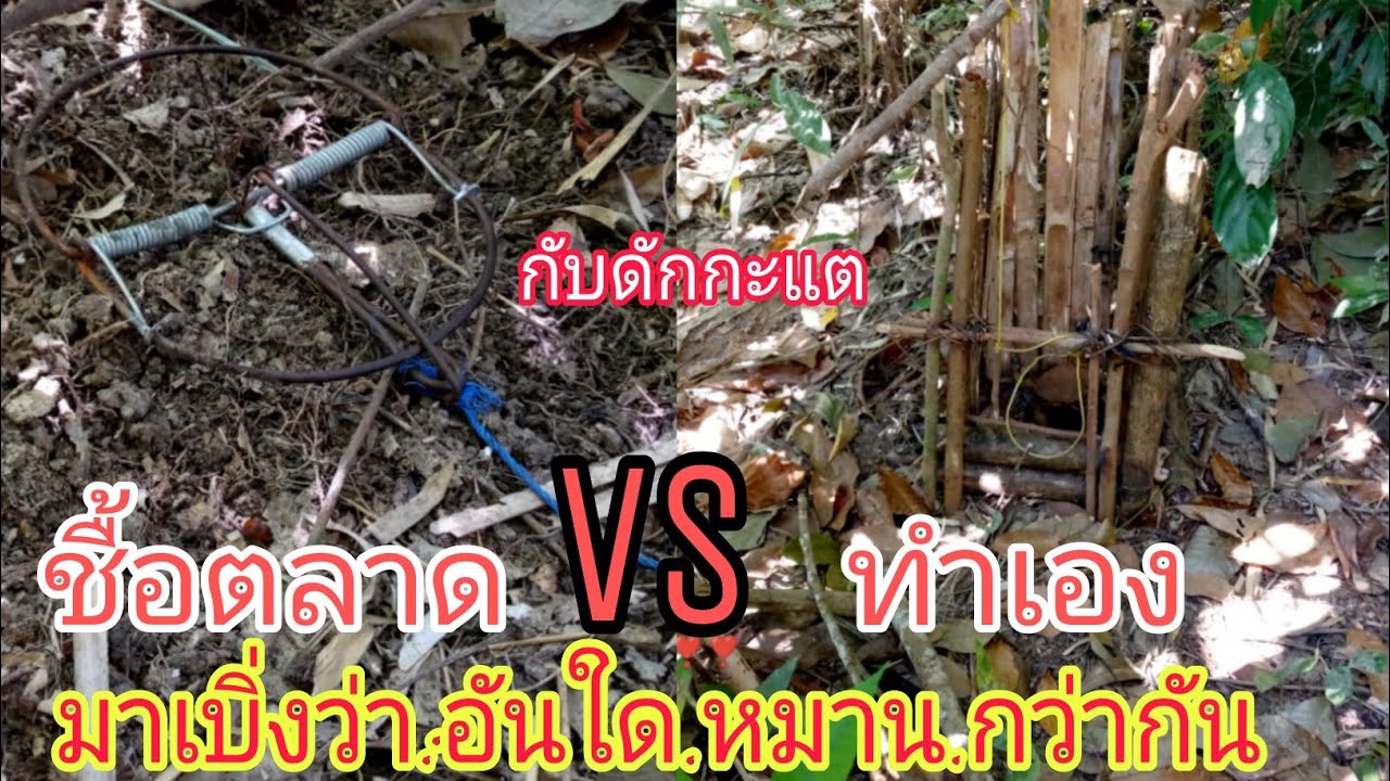 มาดูกันว่าตวไหน เข้าดีกว่ากัน - YouTube