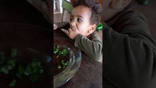 Eita Cheiro Verde Gostoso