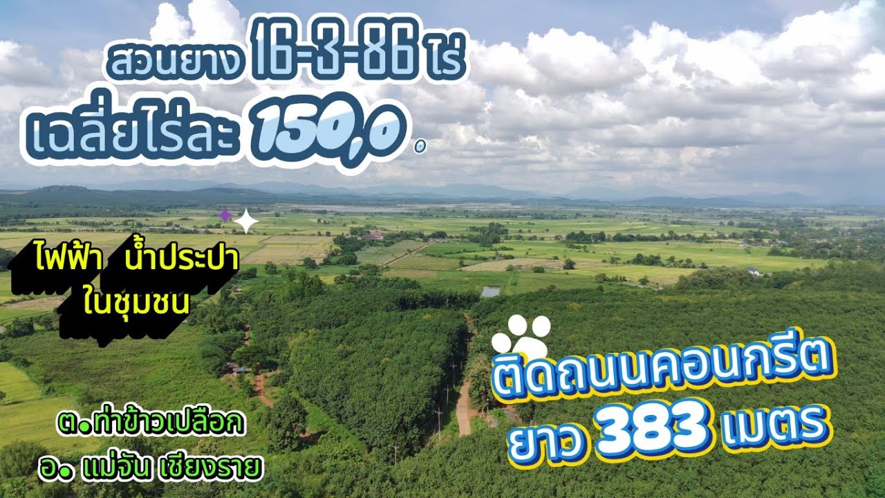 CR68073 Каучуковая плантация 16-2-83 рая, продается по цене 150 000 бат за рай, район Тха Кхао Пл...