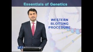 BIO301_Topic250