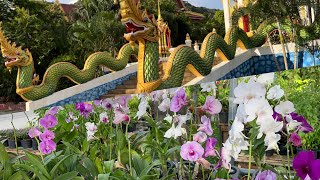 Ночной рынок на Карон зачем я пришла Нашла магазин для тайцев 