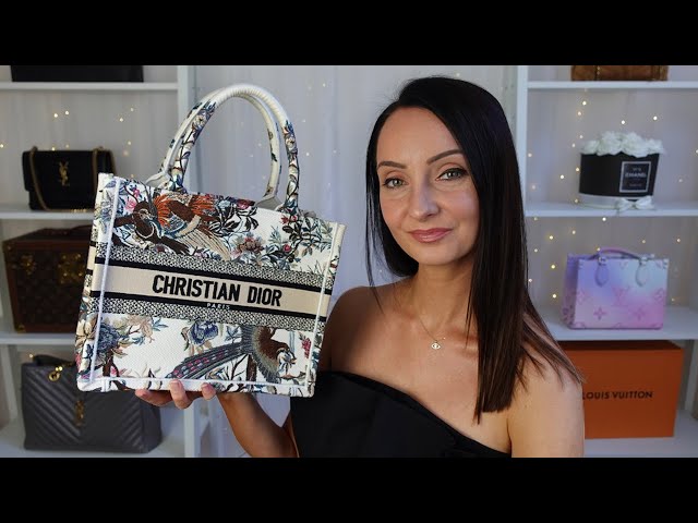 Dior Small Book Tote  Dior's Hottest Bag Just Got SMALLER *luxury bag  reveal* 