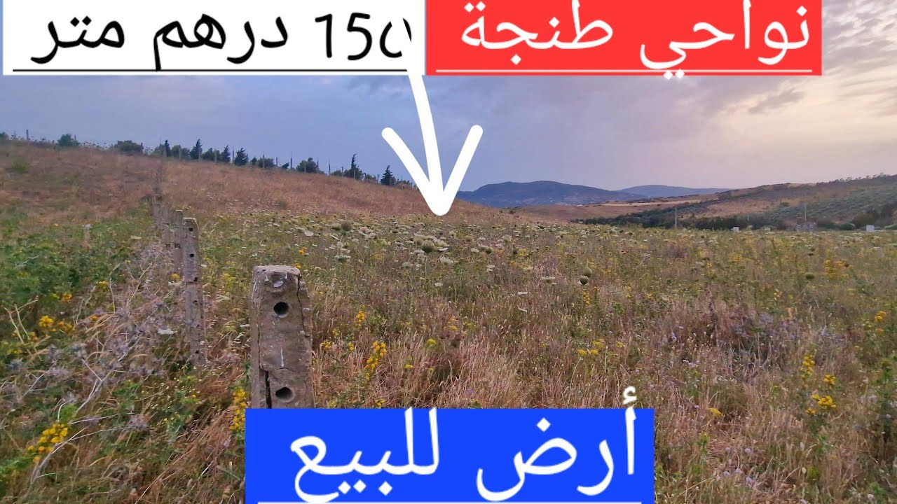 أرض للبيع 2000 متر نواحي طنجة منطقة دار شاوي