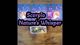 Scorpio ♏️ Your Yes or No Answer | From the Natural World 🌱💫🍃 | #yesornopickacard #timeless