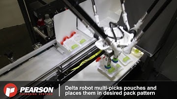Pearson Packaging Systems - DTL Delta Top Loader
